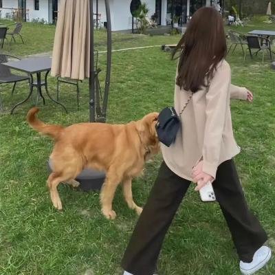 樱桃呀，恋爱吧